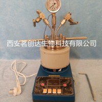 微型高壓反應釜WCGF-50ML