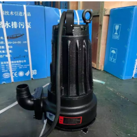 南京藍(lán)深制泵集團(tuán)AS10-2CB潛水泵 電壓380V
