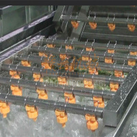 空心菜預(yù)洗機(jī) 氣泡沖洗空心菜的機(jī)器