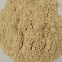 海藻提取物 海帶提取物 海藻濃縮粉