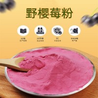 野櫻莓果粉 果蔬固體飲料 斯諾特生物定制生產(chǎn)