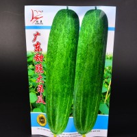 廠家供應(yīng)紙袋可定制可裝蔬菜種子，水果種子的種子袋