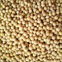 供應(yīng)東北黃豆粉生粉