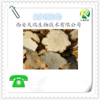 當(dāng)歸提取物 當(dāng)歸粉廠家供應(yīng)