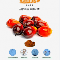 胡蘿卜素 冷凍飲品 調(diào)制乳 豆類(lèi)制品 糖果 靖浩廠家 食品級(jí)