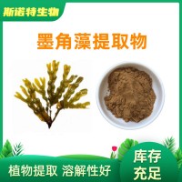 墨角藻提取物10：1 源頭廠家 全水溶 墨角藻粉規(guī)格齊全