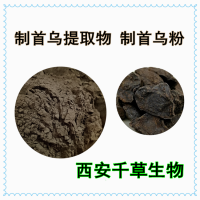 制首烏浸膏粉 定制植物提取物制首烏濃縮浸膏