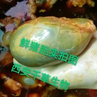 豬膽水溶粉廠家專業(yè)定制植物提取物濃縮浸膏干膏