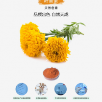葉黃素 食品色素 調(diào)制乳 果醬 雜糧罐頭 糖果 方便米面制品