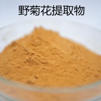 野菊花提取物 速溶菊花粉 20:1精細粉末