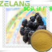 黑莓壓片糖果代加工，黑莓提取物壓片代加工