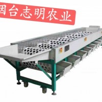 志明牌檸檬清洗滾筒調(diào)速分級篩選機(jī)