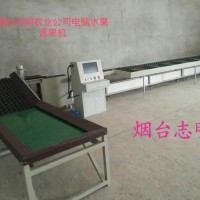 志明牌蘋果自動電腦清洗分選機(jī)