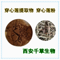 穿心蓮浸膏粉 供應(yīng)植物提取物定做穿心蓮流浸膏 穿心蓮顆粒
