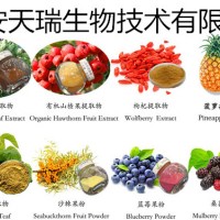 茶多酚現(xiàn)貨供應多種規(guī)格