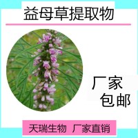 益母草提取物天瑞生物源頭廠家比例提取益母草浸膏粉