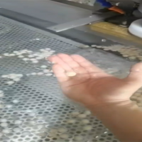 做珍珠丸子的機器 做1厘米丸子機器 小丸子機 珍珠丸子成型機