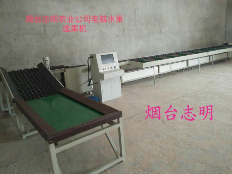 電腦分級機(jī)兔子