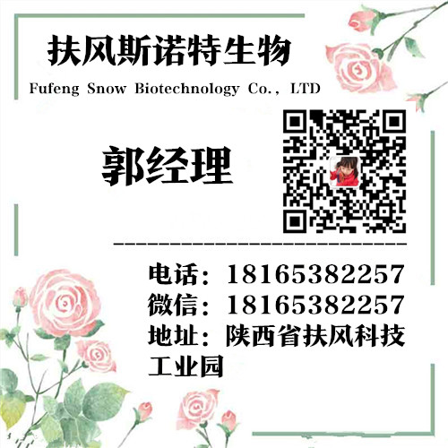 扶風名片