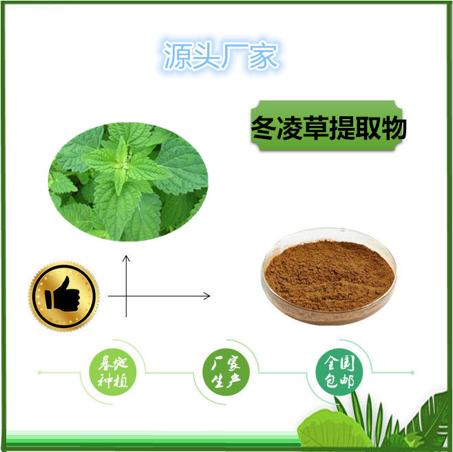 冬凌草_副本