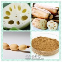 蓮藕提取物粉 蓮藕浸膏價格