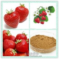 草莓提取物 草莓粉