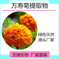 萬(wàn)壽菊提取物 萬(wàn)壽菊濃縮粉天瑞生物