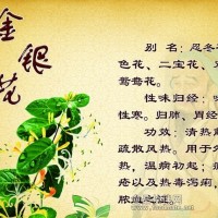 中廣測(cè)開展金銀花與山銀花的鑒別