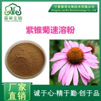 菊苣酸4% 25% 紫錐菊提取物 紫錐菊提取液 紫錐菊粉