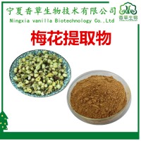 梅花提取物SC廠家供應(yīng) 梅花提取液 梅花浸膏粉 梅花粉