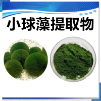 小球藻提取物 水溶性小球藻濃縮粉 斯諾特生物供應