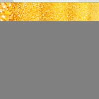 多功能玉米脫皮破碎機 玉米脫皮拉糝機 玉米加工機器