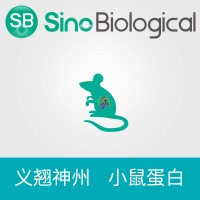 重組小鼠TFRC / CD71 蛋白 (ECD,His標簽)