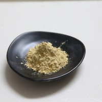 水飛薊提取物供應(yīng)商