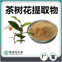 茶樹花提取物 斯諾特生物供應(yīng)茶樹花速溶粉