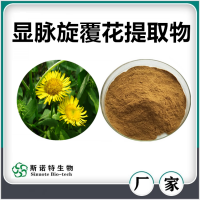 顯脈旋覆花提取物 斯諾特生物自產(chǎn)自銷顯脈旋覆花速溶粉