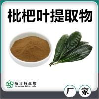 枇杷葉提取物 斯諾特生物自產(chǎn)自銷枇杷葉速溶粉