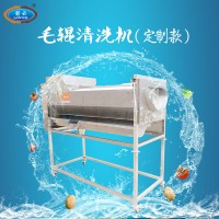 加高毛輥清洗機 大容量清洗去皮機 定制款果蔬加工設(shè)備