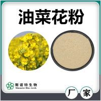 油菜花粉 噴霧干燥油菜花速溶粉 濃縮萃取 廠家供應(yīng)