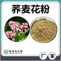 蕎麥花提取物 噴霧干燥蕎麥花粉 濃縮萃取 廠家供應(yīng)