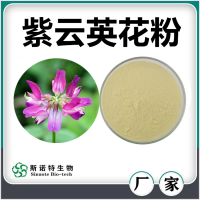 紫云英花粉 噴霧干燥紫云英花速溶粉 濃縮萃取 廠家供應(yīng)