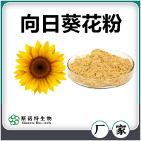 向日葵花粉 噴霧干燥向日葵花速溶粉 濃縮萃取 廠家供應(yīng)