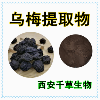 大烏梅提取物大烏梅濃縮粉大烏梅浸膏粉供應(yīng)植物提取物