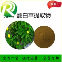 翻白草提取物 翻白草粉天瑞植提廠家規(guī)格可定制