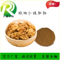 核桃仁提取物 核桃仁速溶粉天瑞生物五谷雜糧粉