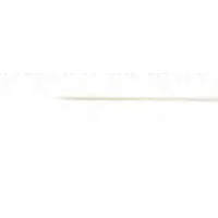 Thermo Scientific自動進(jìn)樣針0029801