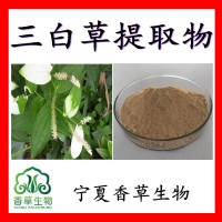 三白草提取物速溶粉80目三白草濃縮粉 水木通提取物浸膏粉