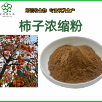 柿子濃縮粉 柿子提取物 濃縮萃取 噴霧干燥 源頭工廠斯諾特