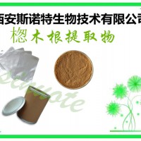?B木根浸膏粉 ?B木根粉 包郵 斯諾特生產(chǎn)廠家