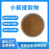 小薊粉 小薊提取物 支持定制 水溶性粉末 固體飲料原料